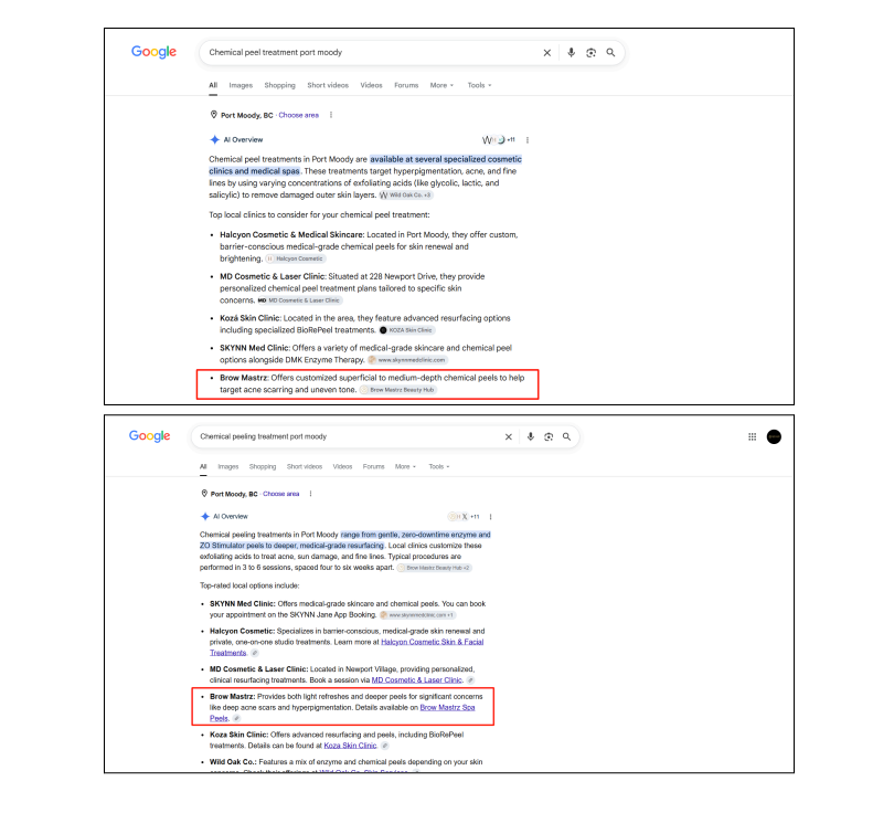 seo-portfolio2